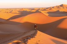 Agadir Desert Sahara Tour with Lunch