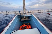 Mahi - Mahi Fishing Tour at North Bali Indonesia 