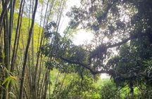 Glide into adventure: Hiking and natural slides