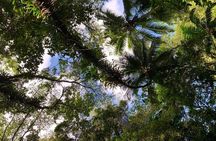 Glide into adventure: Hiking and natural slides