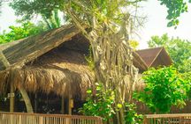 Enjoy a day trip to the Rosario Islands