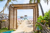 Enjoy a day trip to the Rosario Islands