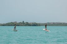 Cartagena Surf Efoil Fliteboard in Baru con transport y daypass