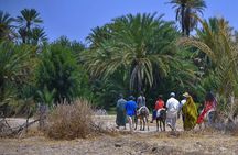 Uncover Taroudant & Tiout Full-Day Journey with Dinner - Agadir