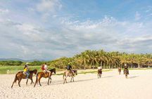 Horseback Riding Tour on the Beach in Puerto Escondido