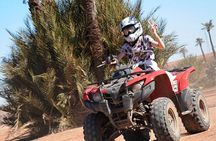 Camel Ride & Quad Bike Adventure in Marrakech’s Palmeraie Oasis 