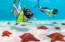 Cayman 3 in 1 Combo: Starfish Point, Stingrays and Reefs