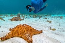 Cayman Combo Tour: Stingrays, Starfish Point and Crystal Caves 