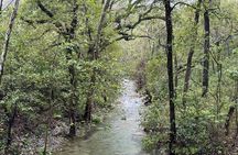 Discover Estanzuela Natural Park 
