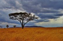 Explore 5 Days Group Tour in Tanzania