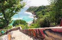 Private Tour to Carrizalillo Mirador Turtles and Release Turtles
