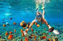  Snorkeling and Shopping Tour in Montego Bay with pick up 