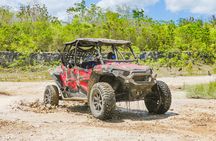 Jeep and 4x4 Polaris RZR Tour with Mexican Lunch