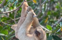 Roatan Monkey and Sloth Park & Private Island Tour 