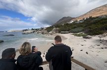 Private Tour: Cape Peninsula & Penguin Beach, Cape Point & more