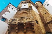Visit Casablanca from the port or hotels 