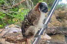 Explore Panama Canal and Gatun Lake with Rainforest Hike