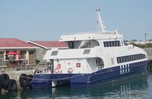 Ferry Tour to Robben Island Museum with One Way Hotel Transfer 