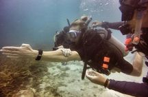 Premium PADI Advanced Open Water Course (6 Dives-2 Days)