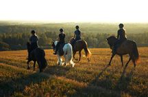 Horseback Riding in the Landscape