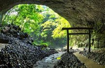 Kyushu Tour of Shrines Sakura Gorges and Landmarks from Fukuoka