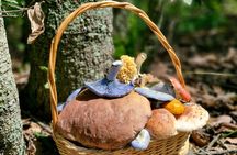 Mushroom Tour from Mexico City
