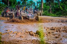 Punta cana Boogie into the Jungle with Coffee and Chocolate Taste