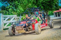 Punta cana Boogie into the Jungle with Coffee and Chocolate Taste