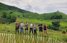 Trekking with Lunch cooked by Bamboo in the Chiang Rai jungle