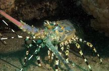Madagascar Cultural and Natural Wonders Tour