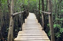 Jozani Forest and Spice Tour 