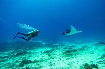 Nusa Penida Private Diving Tour by Speedboat