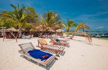 Pig Island Snorkeling & Sightseeing Tour By Speedboat From Koh Samui