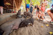 Koh Samui Islands Snorkeling Trip By Speedboat