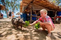 Pink Dolphin and Pig Island Snorkeling Tour from Koh Samui