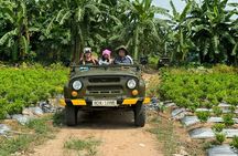Hanoi Jeep Red River Delta Explore Rural Village See rice Paddies