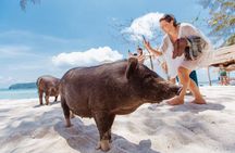 Pig Feeding, Kayaking, Snorkeling Trip at Pig Island By Speedboat From Koh Samui