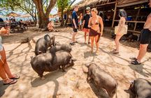 Pig Feeding, Kayaking, Snorkeling Trip at Pig Island By Speedboat From Koh Samui