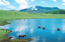 Kyushu: Aso Vocano, Grassland,Onsen and Aso shrine 1-Day Tour