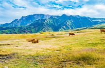 Kyushu: Aso Vocano, Grassland,Onsen and Aso shrine 1-Day Tour