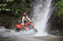 Bali Quad Biking Jungle Exploration with Buffet Lunch