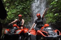 Bali Quad Biking Jungle Exploration with Buffet Lunch