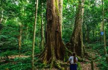 Cuc Phuong National Park Tour With Van Long Wetlands Cruise
