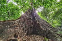 Cuc Phuong National Park Tour With Van Long Wetlands Cruise