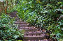 Cuc Phuong National Park Tour With Van Long Wetlands Cruise