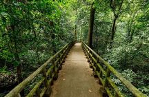 Cuc Phuong National Park Tour With Van Long Wetlands Cruise