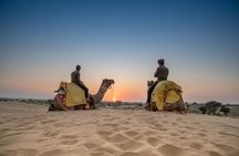 Authentic Camel Safari Experience With Us