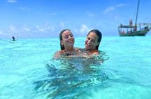 Mnemba Island and Baraka Turtles Aquarium Tour