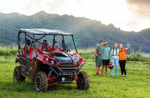 Puerto Rico El Yunque Rainforest UTV for 2 to 4 PERSON 