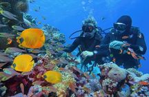Scuba Diving Refresher(3 dives)